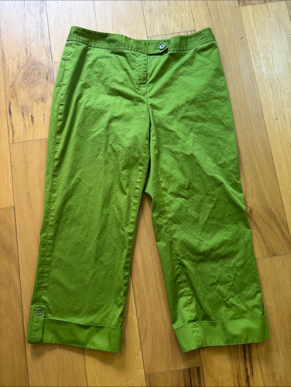 Anne Taylor green crop pants size 6 petite.